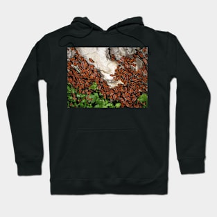 A bugs' feast Hoodie